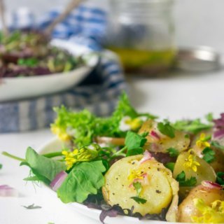 Make the most of fresh spring harvest with this light, healthy Spring Greens and New Potato Salad. This 30 minute Vegan and Gluten Free recipe is incredibly delicious and beautiful to look at! | www.thelastcookie.ca