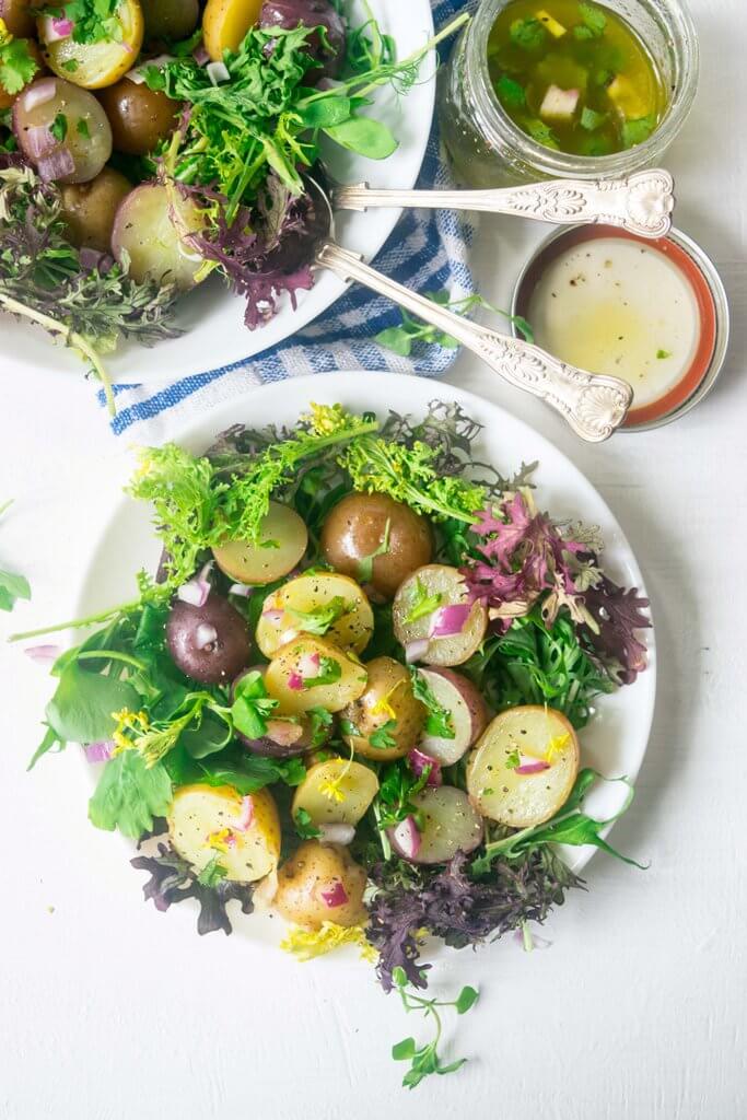 Make the most of fresh spring harvest with this light, healthy Spring Greens and New Potato Salad. This 30 minute Vegan and Gluten Free recipe is incredibly delicious and beautiful to look at! | www.thelastcookie.ca