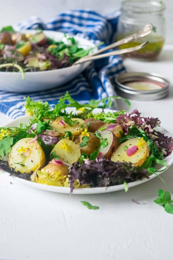 Make the most of fresh spring harvest with this light, healthy Spring Greens and New Potato Salad. This 30 minute Vegan and Gluten Free recipe is incredibly delicious and beautiful to look at! | www.thelastcookie.ca