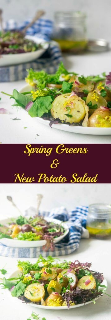 Make the most of fresh spring harvest with this light, healthy Spring Greens and New Potato Salad. This 30 minute Vegan and Gluten Free recipe is incredibly delicious and beautiful to look at! | www.thelastcookie.ca